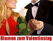 Blumen zum Valentinstag